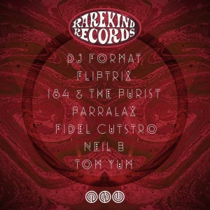 Fliptrix Live @ Shibui Festival, Brighton (Secret Location)