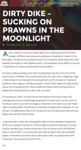 Dike soptim rev wygts