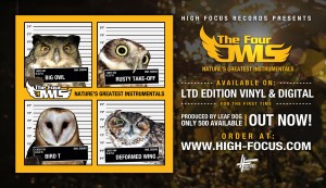 fourowlsNGIvideoslide