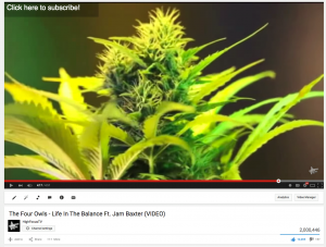 2 milli life in the balance